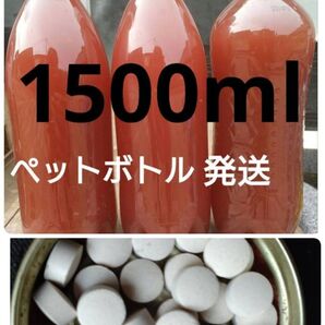 PSB(光合成細菌)1500ml & エビオス30錠 の出品です。バクテリア メダカ らんちゅう金魚 熱帯魚 ゾウリムシ めだか