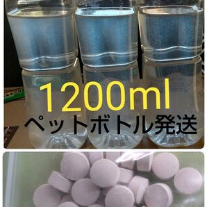 魚のエサ 1200ml & 培養錠 30錠。ゾウリムシ エビオス錠ペットボトル発送。メダカ 金魚 めだか エサ