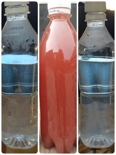 PSB(光合成細菌) 500ml & 魚のエサ 800ml。ゾウリムシ ペットボトル発送!メダカ 金魚 ミジンコ らんちゅう
