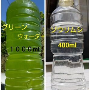 グリーンウオーター(種水、青水)1000ml & 魚のエサ 400ml ゾウリムシ メダカ ミジンコ 金魚 PSB らんちゅう