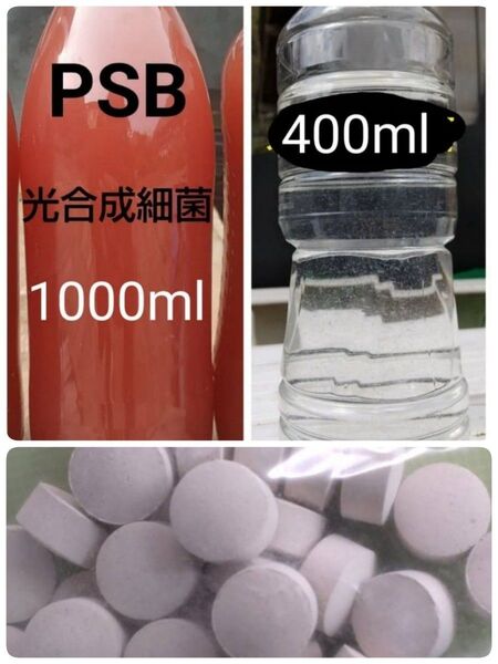 PSB(光合成細菌) 1000ml & 魚のエサ 400ml。ゾウリムシ エビオス錠 メダカ 金魚 ミジンコ