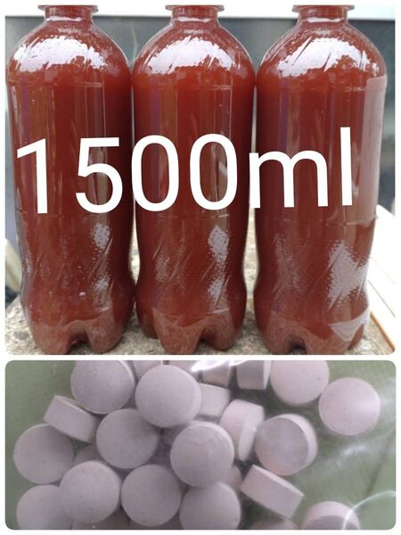 PSB(光合成細菌)1500ml & エビオス30錠 の出品です。バクテリア メダカ らんちゅう金魚 熱帯魚 ゾウリムシ めだか