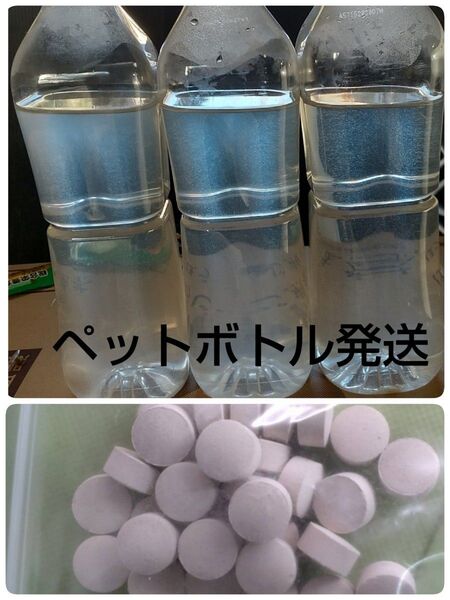 魚のエサ 1200ml & 培養錠30錠。ゾウリムシ ペットボトル発送。エビオス錠 メダカ 金魚 めだか エサ ミジンコ