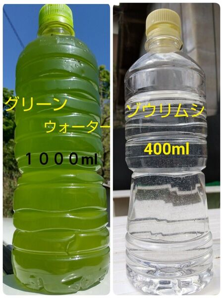 グリーンウオーター(種水、青水)1000ml & 魚のエサ 400ml ゾウリムシ メダカ ミジンコ 金魚 PSB らんちゅう