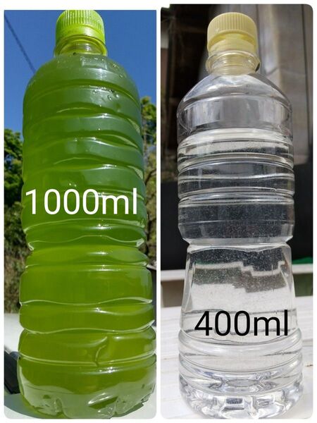 グリーンウオーター(種水、青水)1000ml & 魚のエサ 400ml ゾウリムシ メダカ ミジンコ 金魚 PSB らんちゅう
