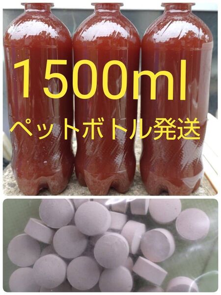 PSB(光合成細菌)1500ml & 培養錠 30錠 の出品です。バクテリア メダカ らんちゅう金魚 エビオス ゾウリムシ めだか