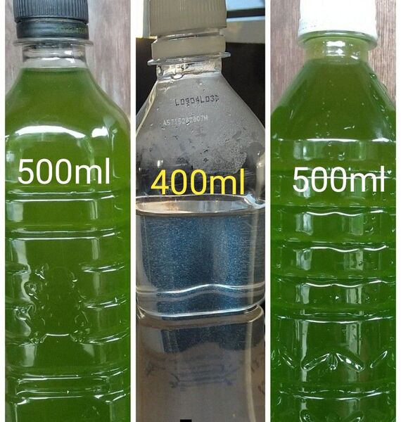 グリーンウオーター(種水、青水)1000ml & 魚のエサ 400ml ゾウリムシ メダカ ミジンコ 金魚 PSB らんちゅう