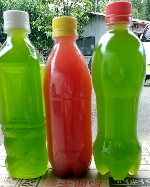 天然 グリーンウォーター(青水.種水)1000ml& PSB(光合成細菌)500ml メダカ 金魚 熱帯魚 ミジンコ ゾウリムシ