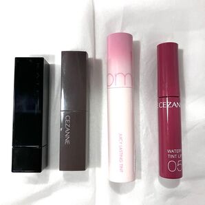 ブルベ向き バズリップ4本セット リップモンスター 他