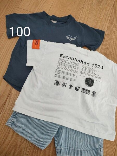 Tシャツ ティーシャツ ズボン パンツ UNIQLO プチマイン petitmain トップス ボーダー 短パン ユニクロ デニム