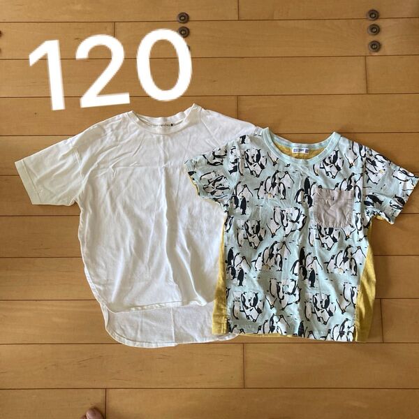 RAG MART ペンギン柄 Tシャツ ブランシェス 白シャツ 120