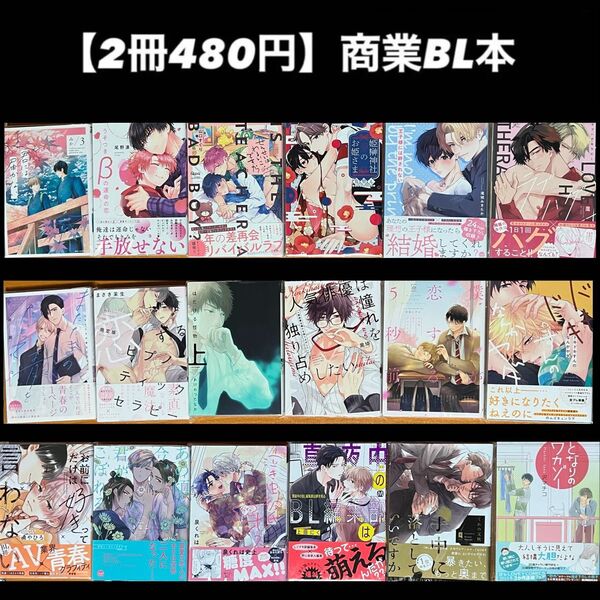 【2冊480円】商業BL本