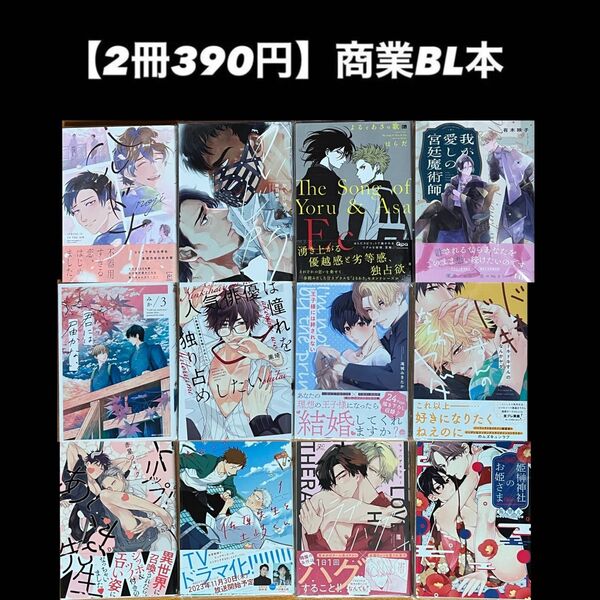 【2冊390円】商業BL本