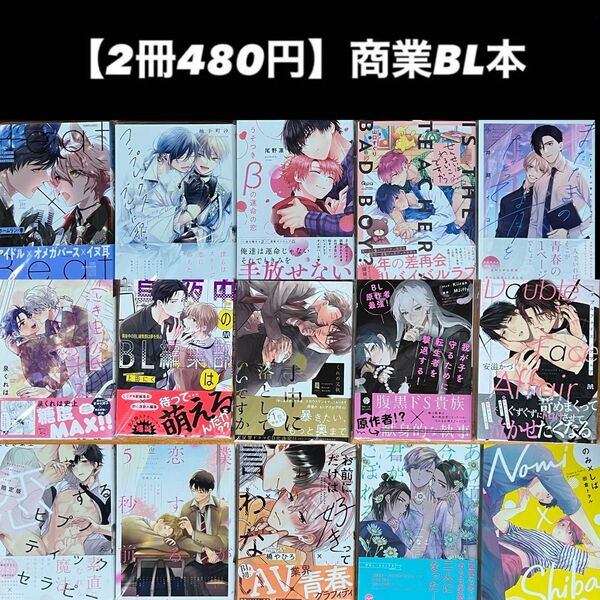 【2冊480円】商業BL本
