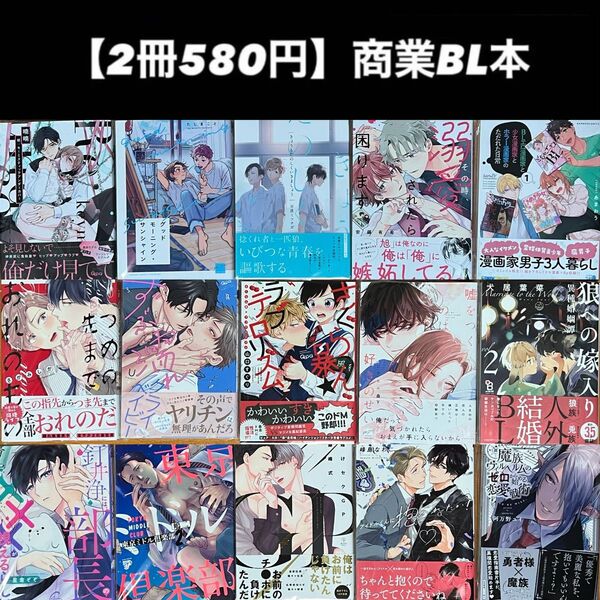 【2冊580円】商業BL本