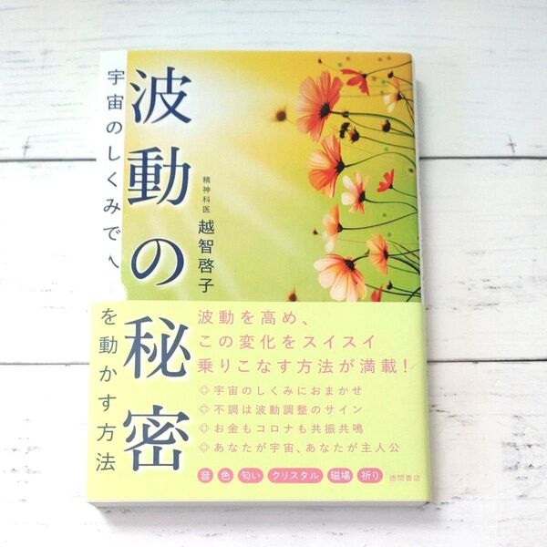 波動の秘密 宇宙のしくみで人生を動かす方法 越智啓子/著