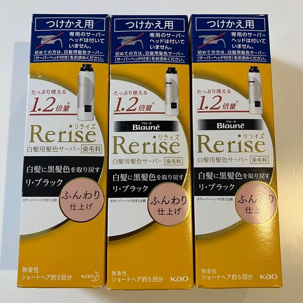 リライズ 白髪用髪色サーバー リ・ブラック ふんわり仕上げ 詰替 白髪染め×3
