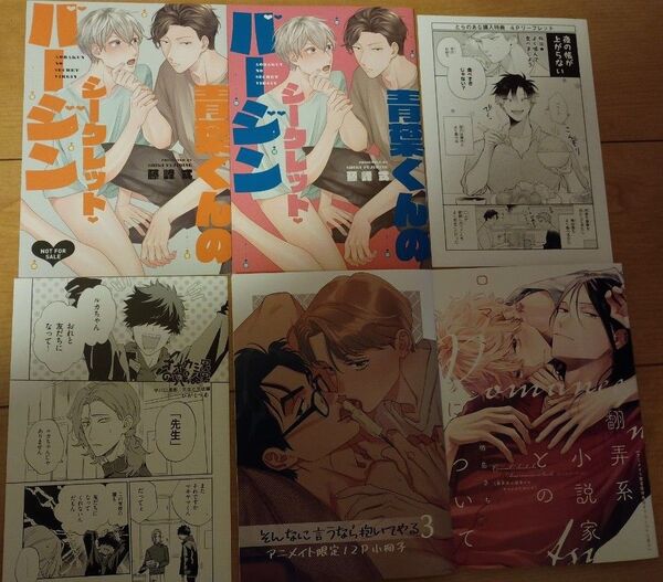 BL 特典のみ にやま そんなに言うなら抱いてやる 3巻 アニメイト 特典 小冊子