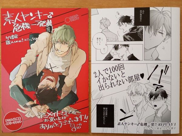BL 特典のみ 素人ヤンキー 危機一発 八百 アニメイト リーフレット 小冊子