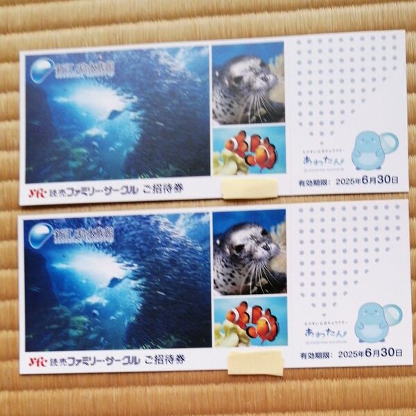 新江ノ島水族館ご招待券 2枚セット