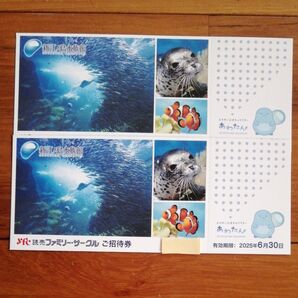 新江ノ島水族館ご招待券 2枚