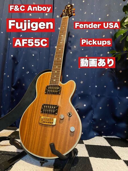 F&C Anboy Fujigen AF55C (Fender USA)