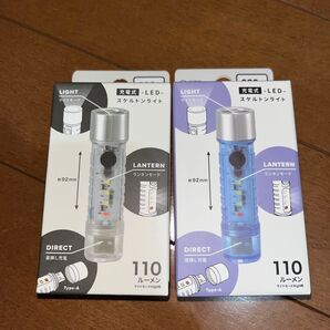 DAISO 充電式LEDスケルトンライト 2個セット