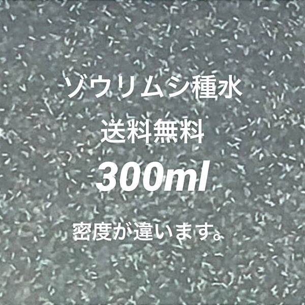 ゾウリムシ種水300ml濃縮