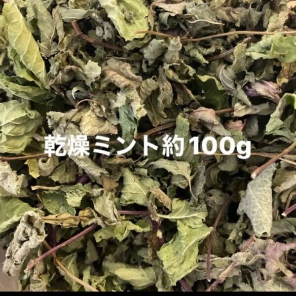 乾燥ミント約90g