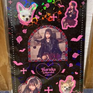 きゅーすと 桜庭遥花 生誕祭 2025 ステッカー