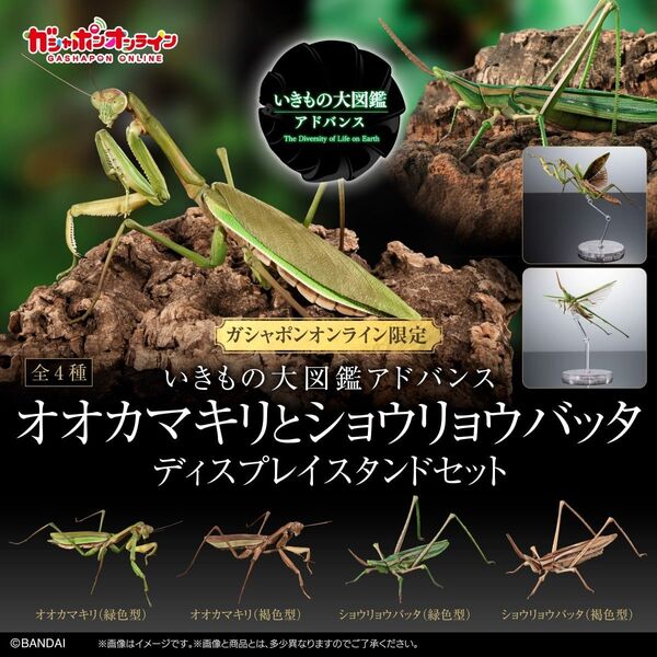 いきもの大図鑑アドバンス 褐色セット オンライン版