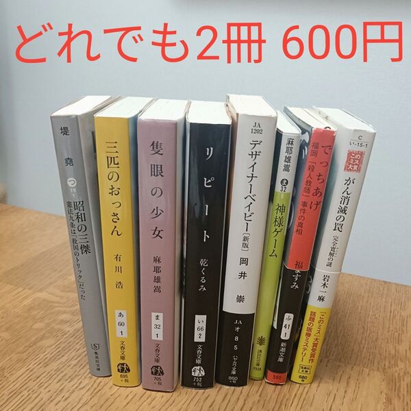 どれでも2冊600円!文庫本 まとめ売り