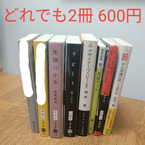どれでも2冊600円!文庫本 まとめ売り