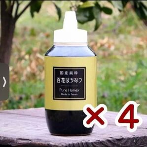 はちみつの恵 国産純粋 百花はちみつ 1000g×4本 ポリ容器 新品 非加熱 日本製 国産はちみつ ハチミツ ハニー