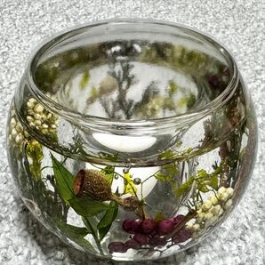 ジェルランタン(peony)