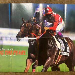【競馬ポスター】タイキシャトル シーキングザパール ポスター裏表