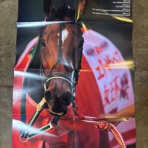 【競馬ポスター】メジロドーベル ポスター