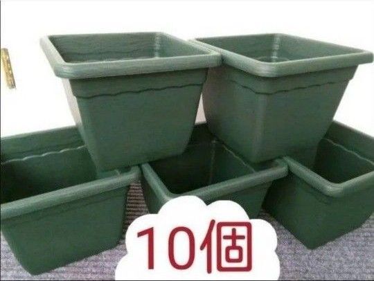 ■お買い得 10個■人気色■ダークグリーン■スクエア プランター プラスティック鉢 植木鉢 寄せ植え 送料無料匿名配送