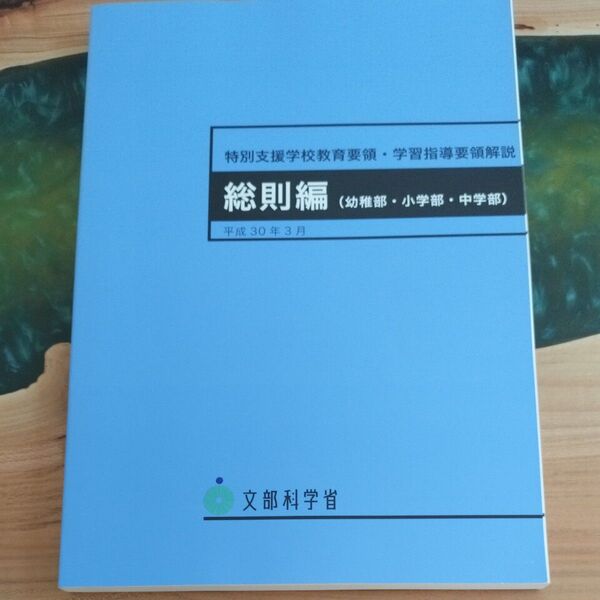 特別支援学校教育要領・学習指導要領解説 総則編〈幼稚部・小学部・中学部〉 (平成30年3月) 文部科学省/〔著〕