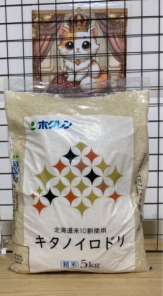 北海道産 ブレンド米 5kg 1袋 白米 ホクレン