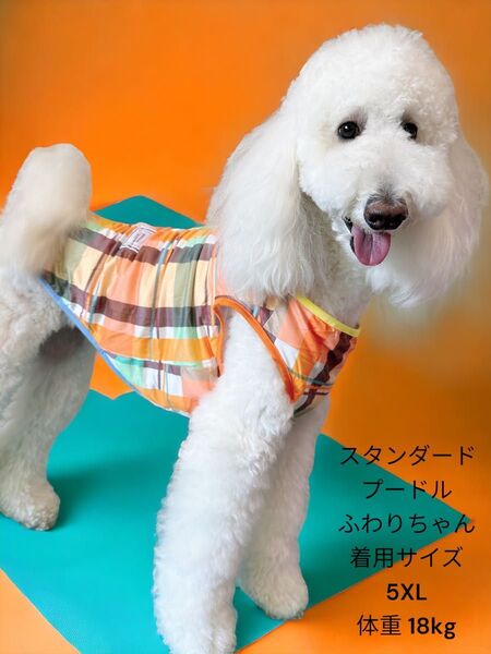 期間限定送料無料/ドッグウェア/犬服/大型犬/超大型犬/春夏新作/オレンジチェックタンクトップ/ドッグウェア/犬服5XL