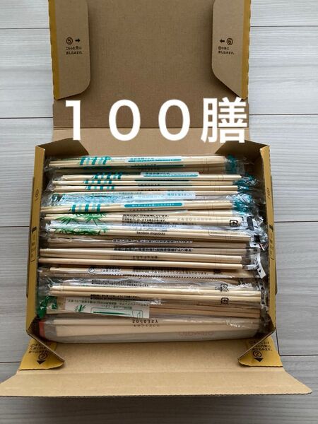 【ロゴ無し】割り箸 個包装 100膳