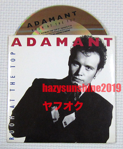 アダム・アント 3 TRACK CD ADAM ANT ROOM AT THE TOP REMIX 7 INCH VERSION HOUSE VOCAL MIX BRUCE LEE Manners & Physique