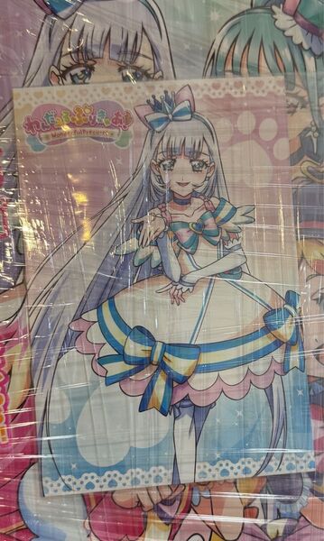 わんだふるぷりきゅあ コンプリートブック ポストカード 特典のみ キュアニャミー 新品 プリキュア