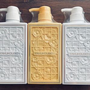 薬酵泉 薬用 全身洗浄料(医薬部外品)
