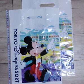 東京ディズニーリゾート ショッパー 限定品 2枚