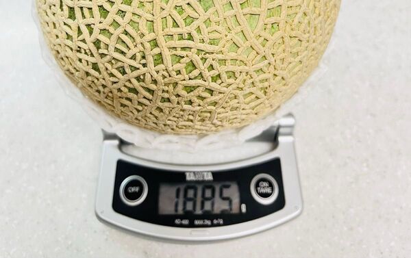 【匿名配送】高級メロン種(タネ )20粒 みずみずしく糖度が高いメロンの種 ジューシーな濃厚果汁 家庭菜園