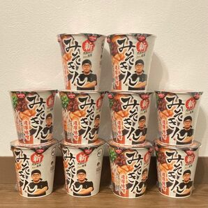 『新』みそきん 濃厚味噌ラーメン HIKAKIN 日清 カップ麺 10個