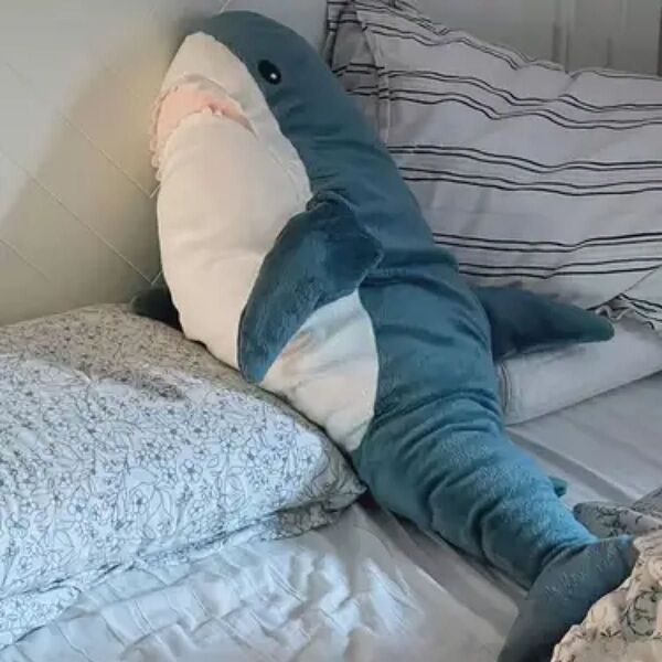ぬいぐるみサメ