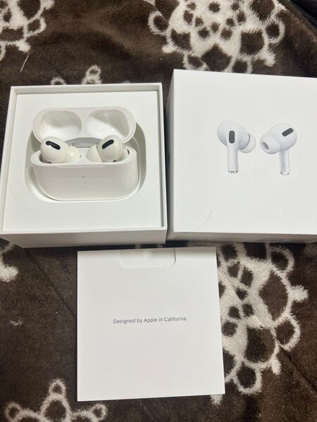AirPods Pro 第1世代 ジャンク m13